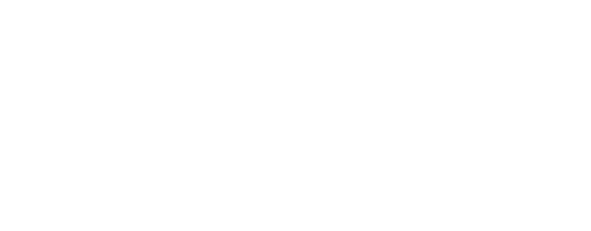 Intel ANZ